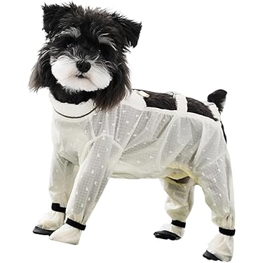 Amazon.co.jp 最新リリース: 犬用服・アクセサリ の新着ランキングです。